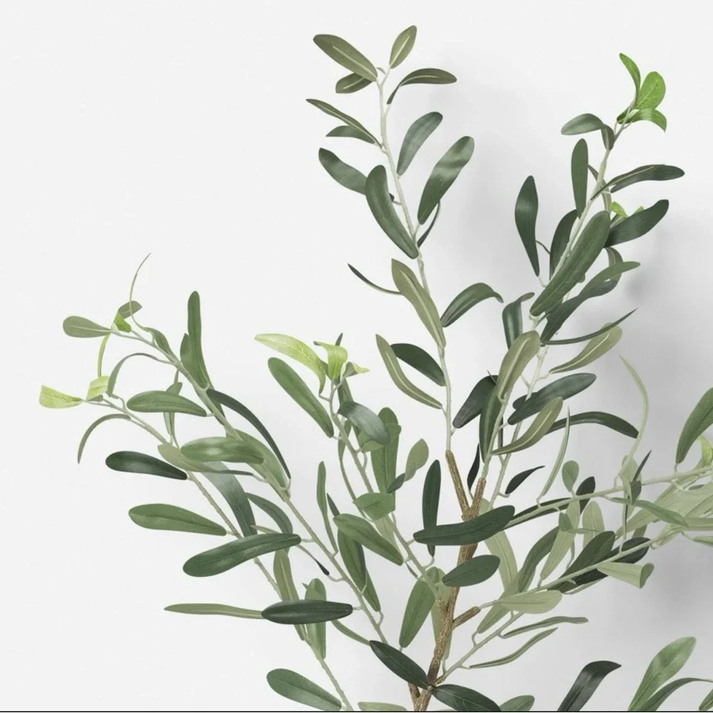 41.5” Olive Branch Threshold